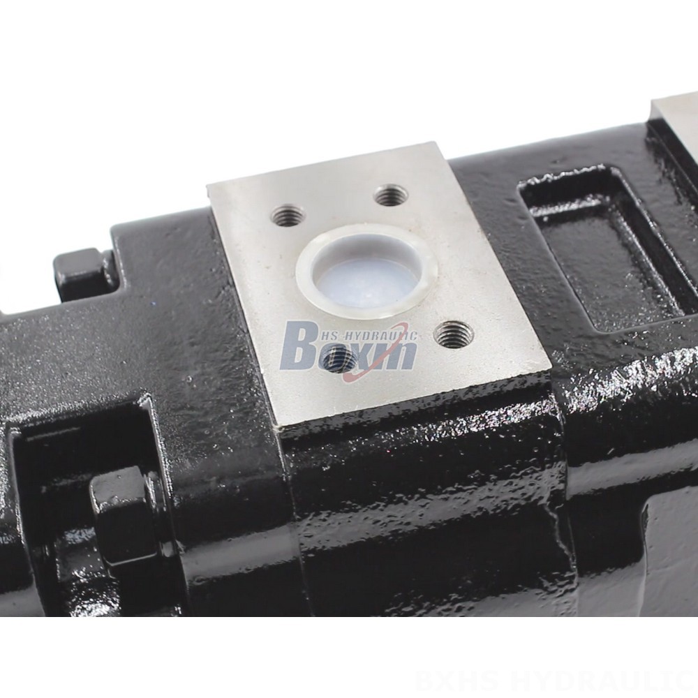 Manufacturer of JHP2100-2080-1016 100 cc/rev Hydraulic Gear Pumps - Wholesale Prices detail image