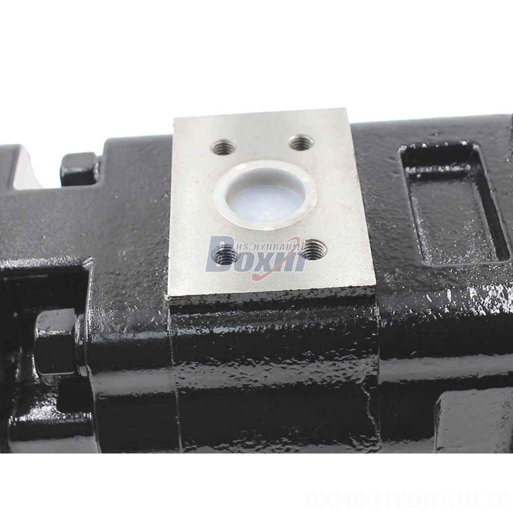JHP2100-2080-1016 Hydraulic Gear Pump: OEM & ODM Manufacturing Services Available detail image