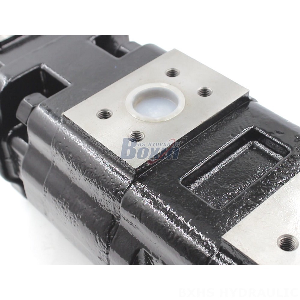 JHP2100-2080-1016 Hydraulic Gear Pump: OEM & ODM Manufacturing Services Available detail image