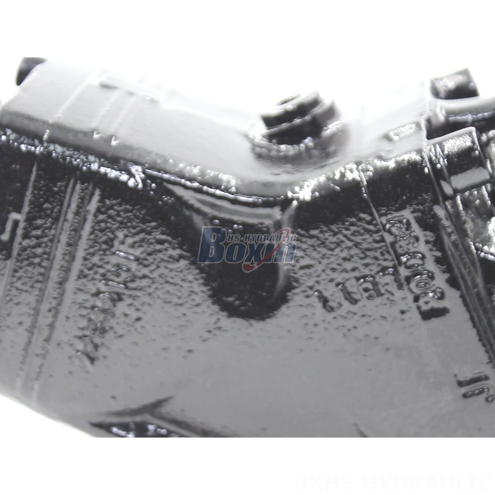 Hydraulic Piston Pump LB-63 - 63cc/rev - Factory Direct Sales detail image