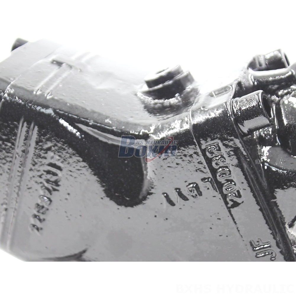 LB-80 Hydraulic Piston Pump (80cc/rev) - Factory Price detail image