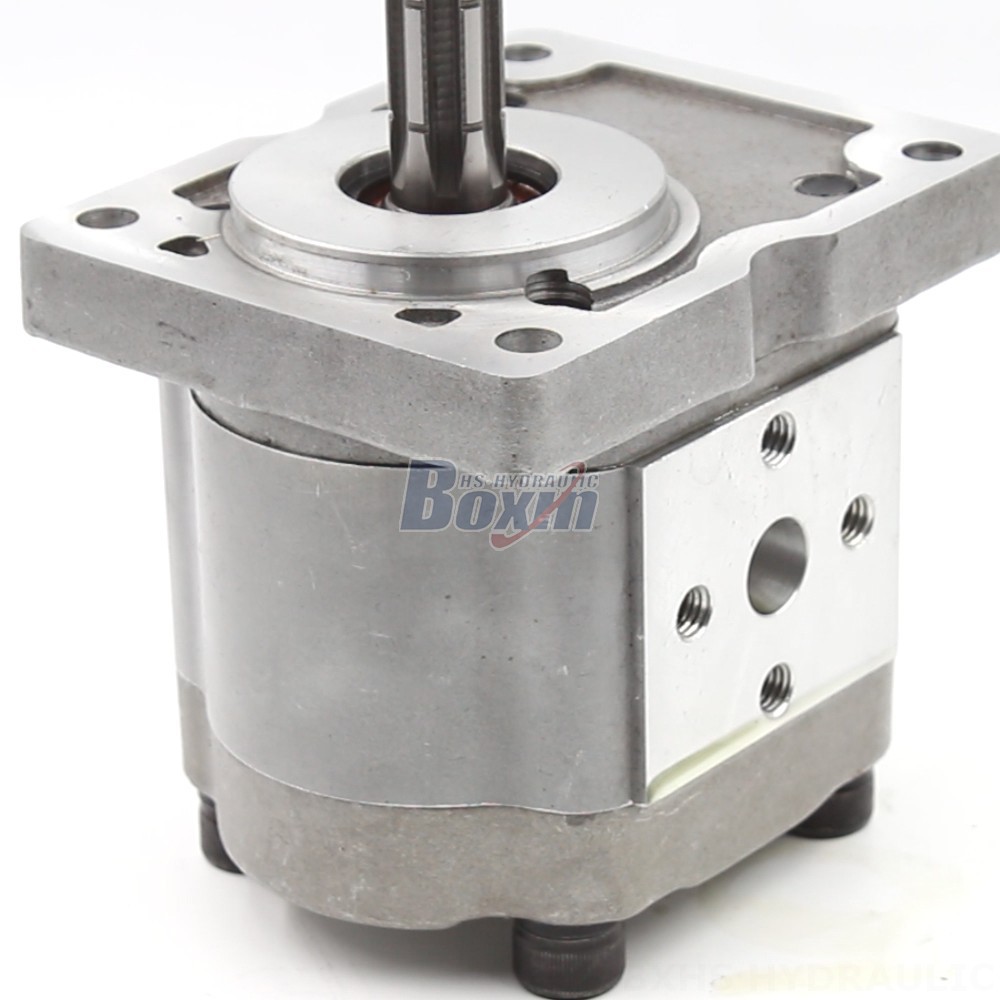 110 Hydraulic Pump NSH-10 Gear Pump for Fluid Power Systems: Performance and Reliability detail image