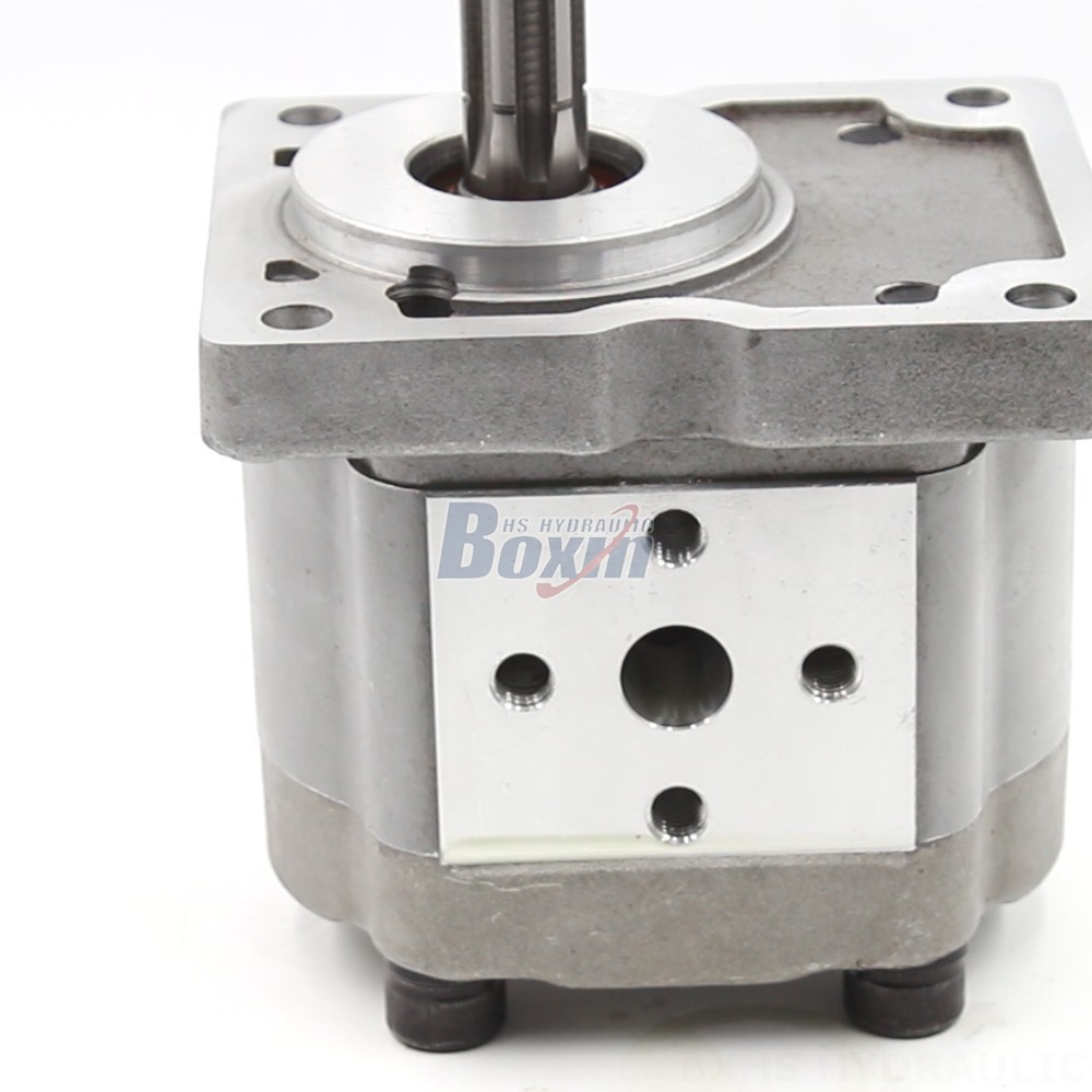 110 Hydraulic Pump NSH-10 Gear Pump for Fluid Power Systems: Performance and Reliability detail image