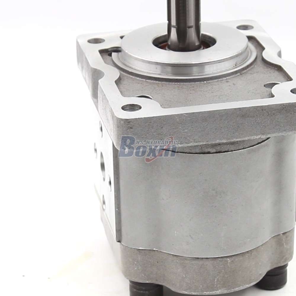 Oil Gear Pump 10 cc Displacement Hydraulic Pump: NSH-10 Series for Industrial Applications detail image