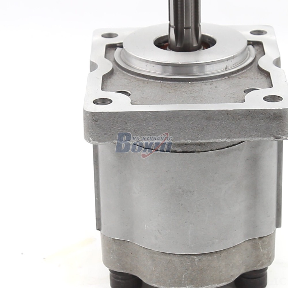 Pumps & Parts NSH-10 10 cc/rev Gear Pump: Technical Data, Applications, and Expert Support detail image