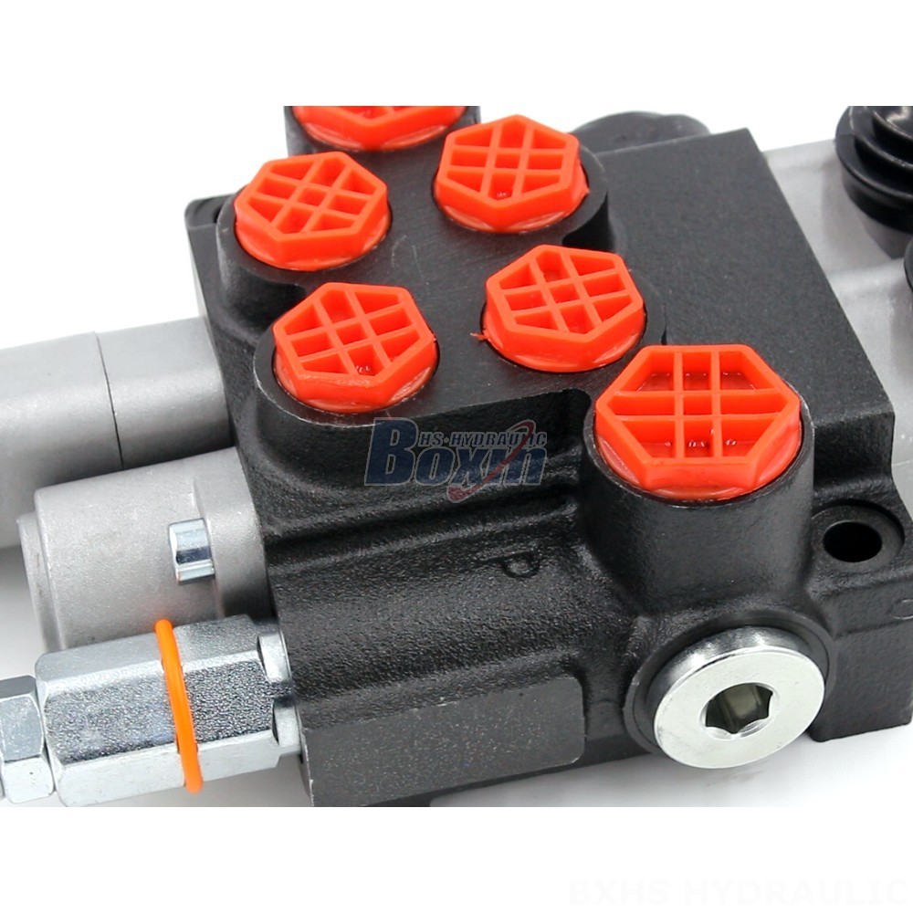 Integral Hydraulic Valve Premium Hydraulic Components: P40-AQF-G38-G12 from Top Manufacturers detail image