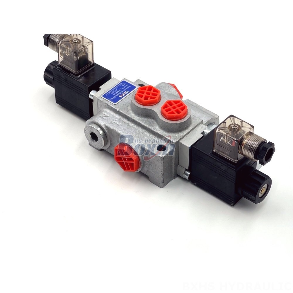 External And Internal Gear P40-DKL Valves: Direct from the Source for Cost-Effective Solutions detail image