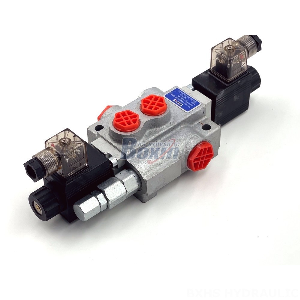 External And Internal Gear P40-DKL Valves: Direct from the Source for Cost-Effective Solutions detail image