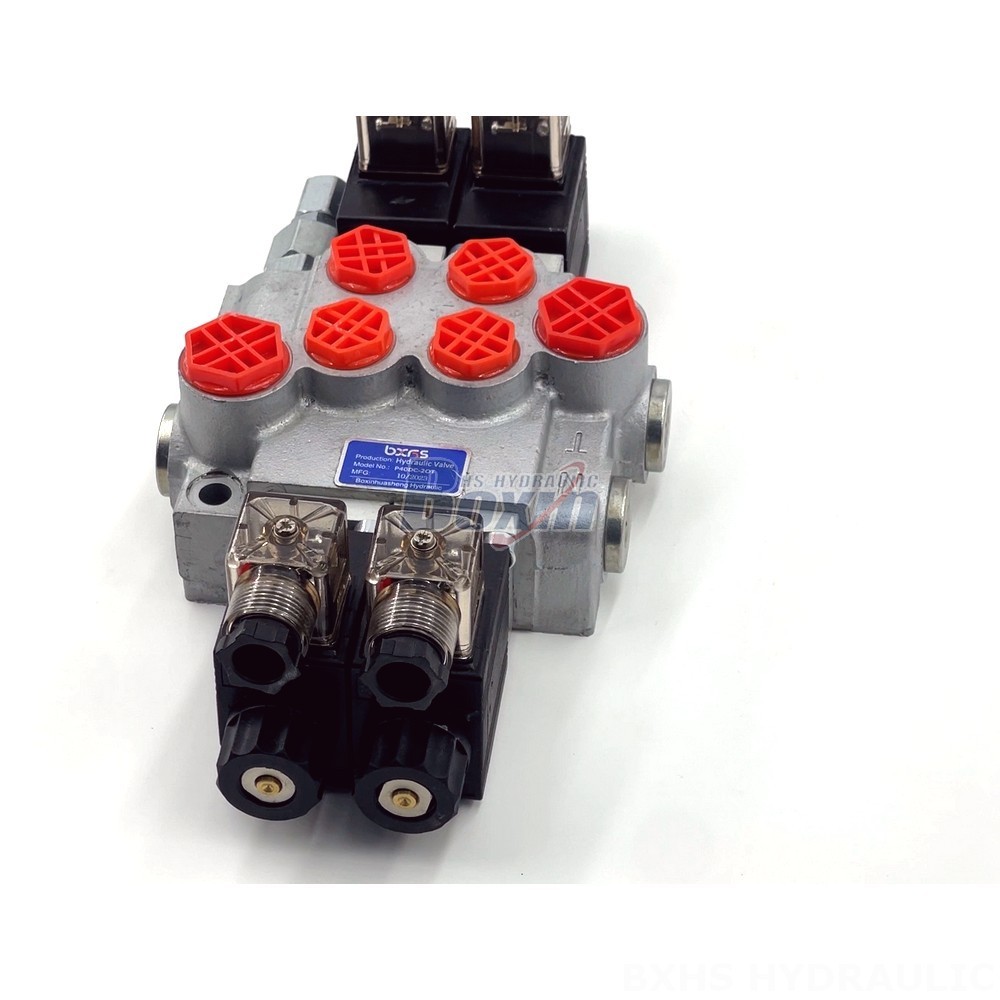 Industrial Solenoid Valve: P40-DKL | Customized Solutions & Engineering Support detail image