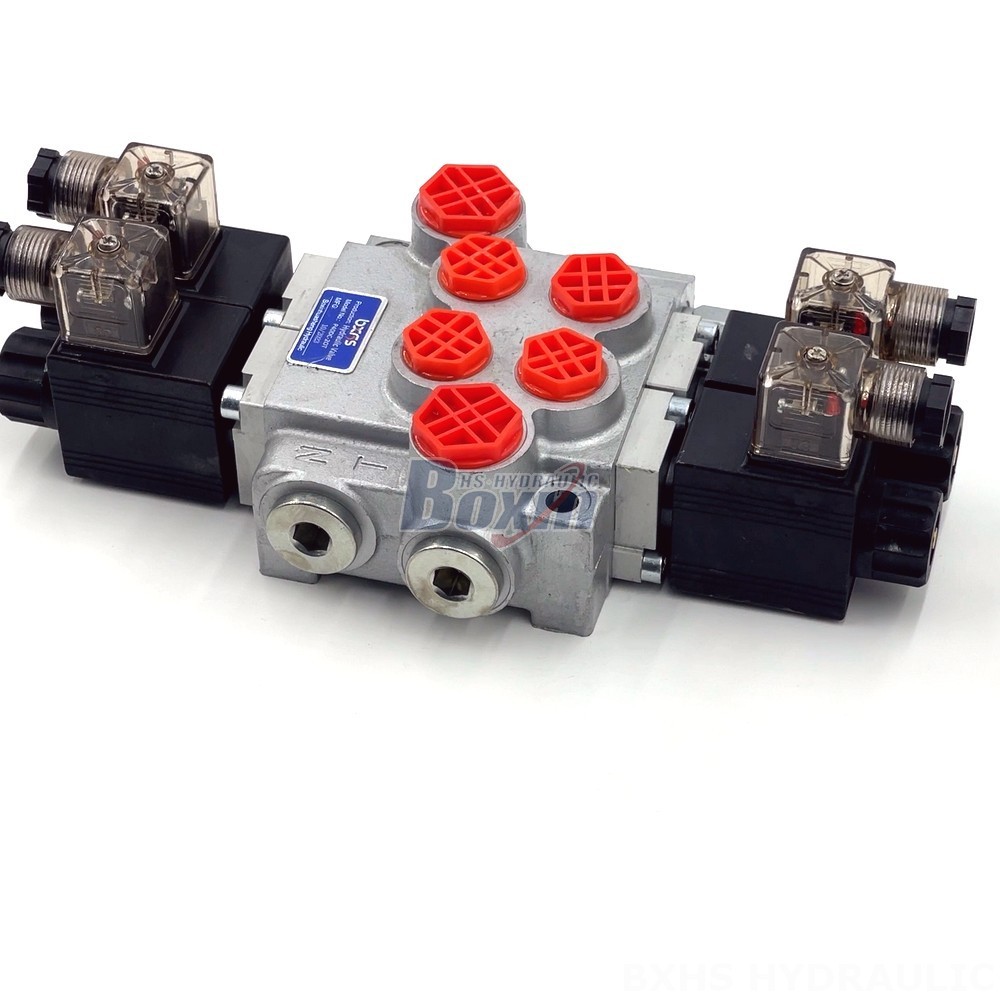 Industrial Solenoid Valve: P40-DKL | Customized Solutions & Engineering Support detail image