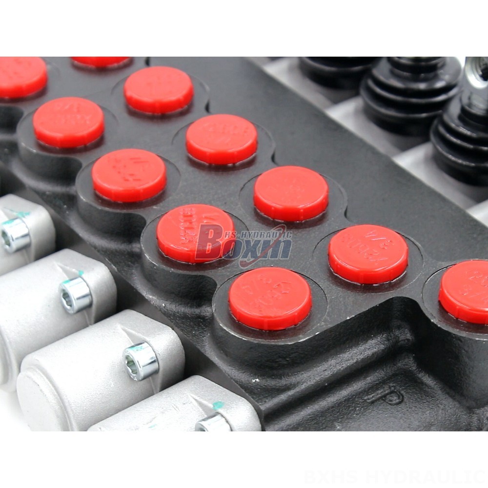 Proportional Directional Control Valve Private Label Monoblock Valve: Enhance Your Product Line detail image