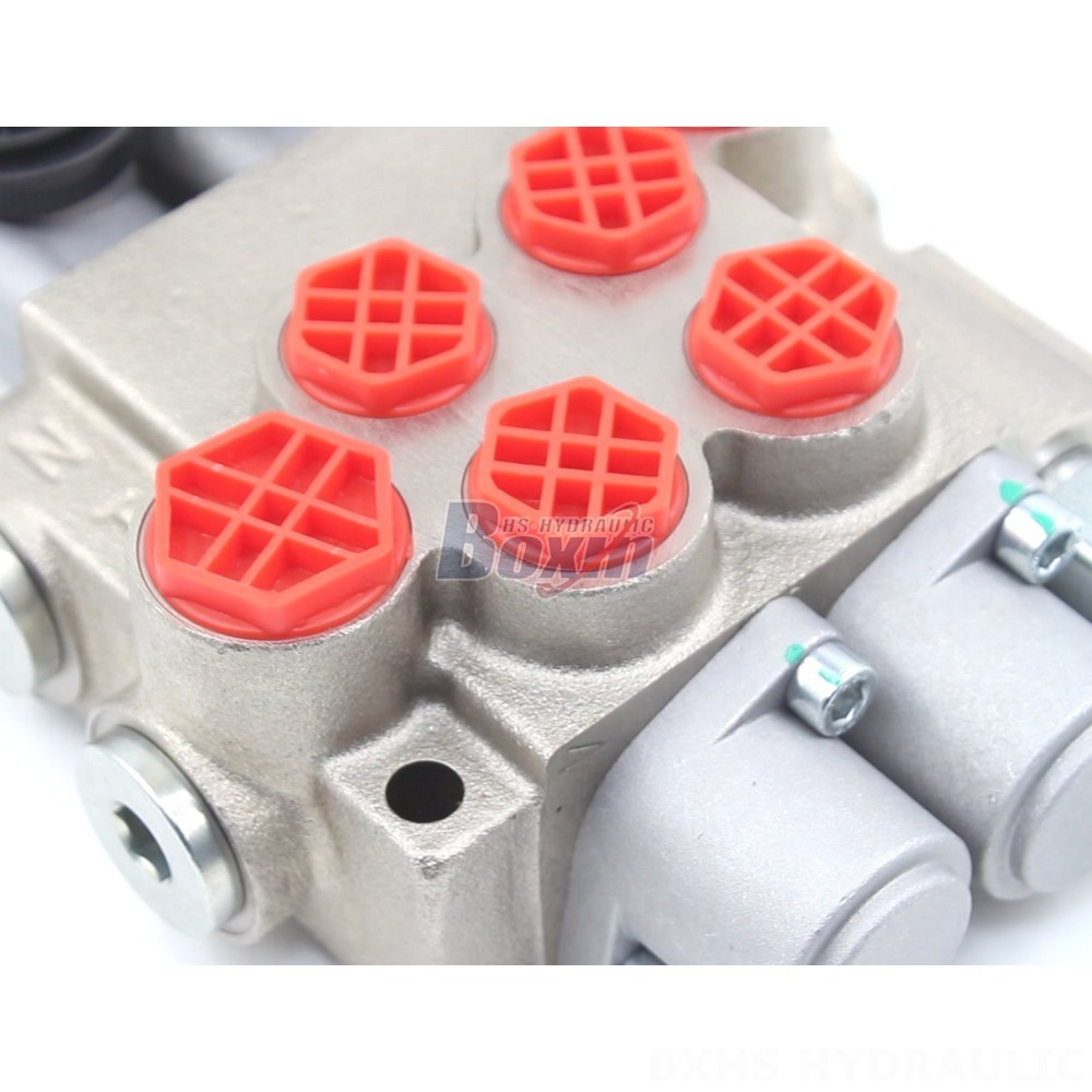 P40-XNHJ Manual 2 Spool Monoblock Directional Valve: OEM & ODM Services Available detail image