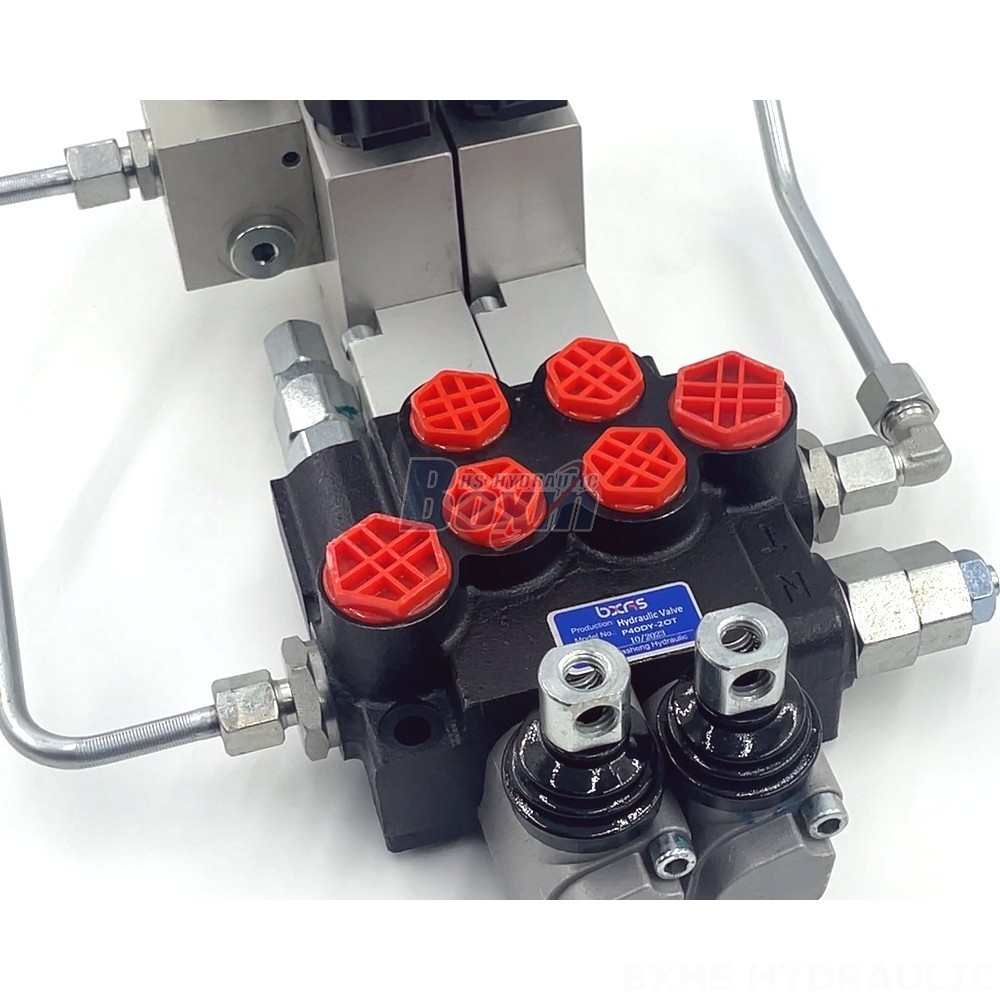 Manual Operated Directional Valve 2p120 3p120 4p12 2 Spool Valve detail image
