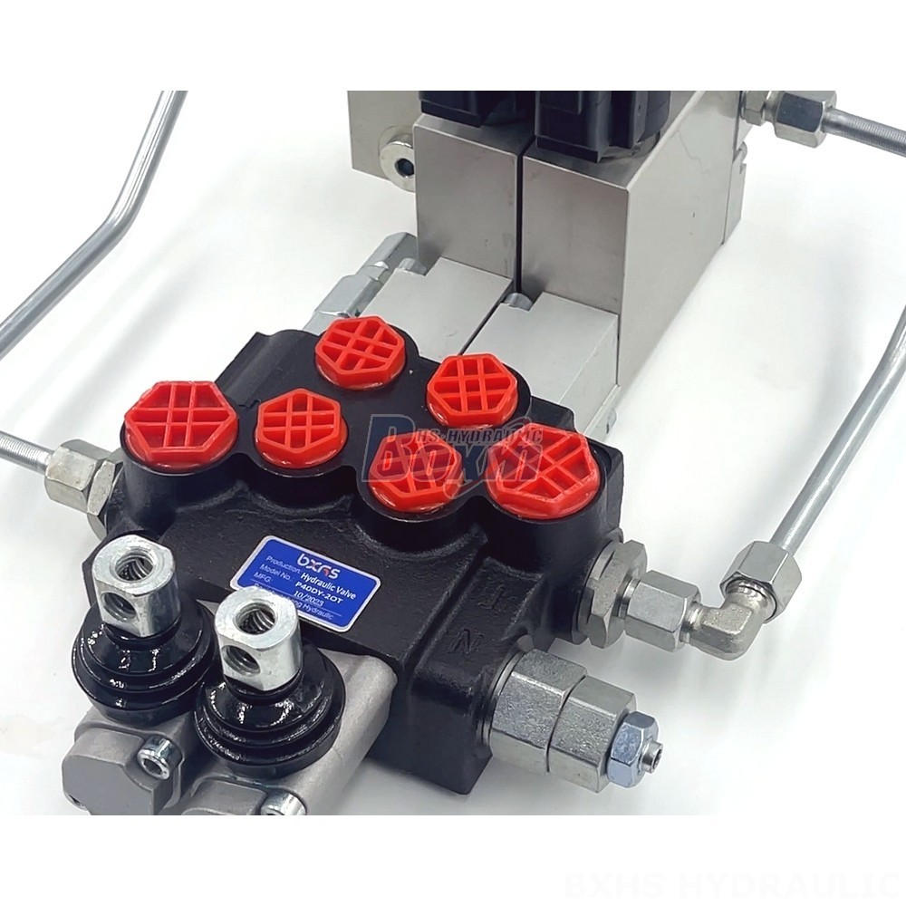 Design and Manufacture to Your Specifications: OEM and ODM for P40 Valves detail image