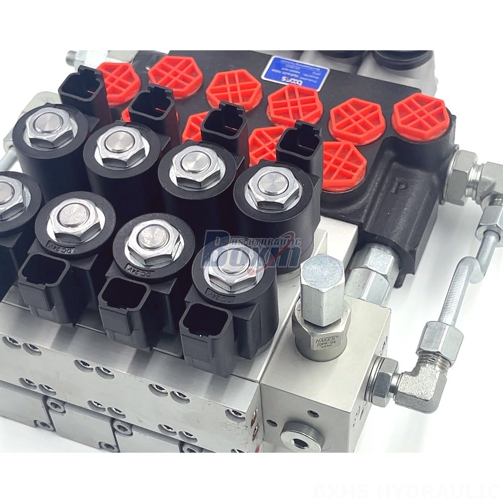 Two Way Hydraulic Valve P40 Monoblock Directional Valve: Performance and Efficiency Unrivaled detail image