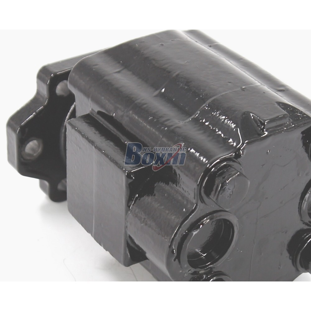 Precision P51A646TEYR25-25 Hydraulic Gear Pump Components detail image