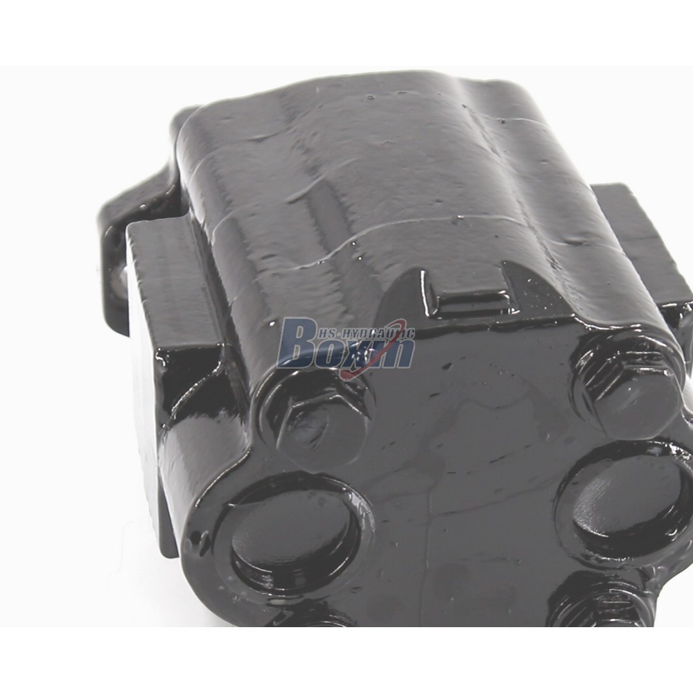 Seeking Global Distributors and Wholesalers for P51A646TEYR25-25 Gear Pump detail image