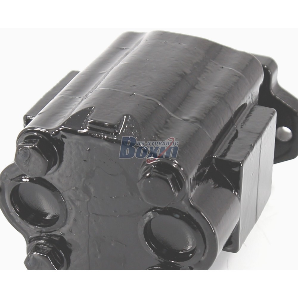Professional Production of P51A646TEYR25-25 Hydraulic Gear Pump detail image