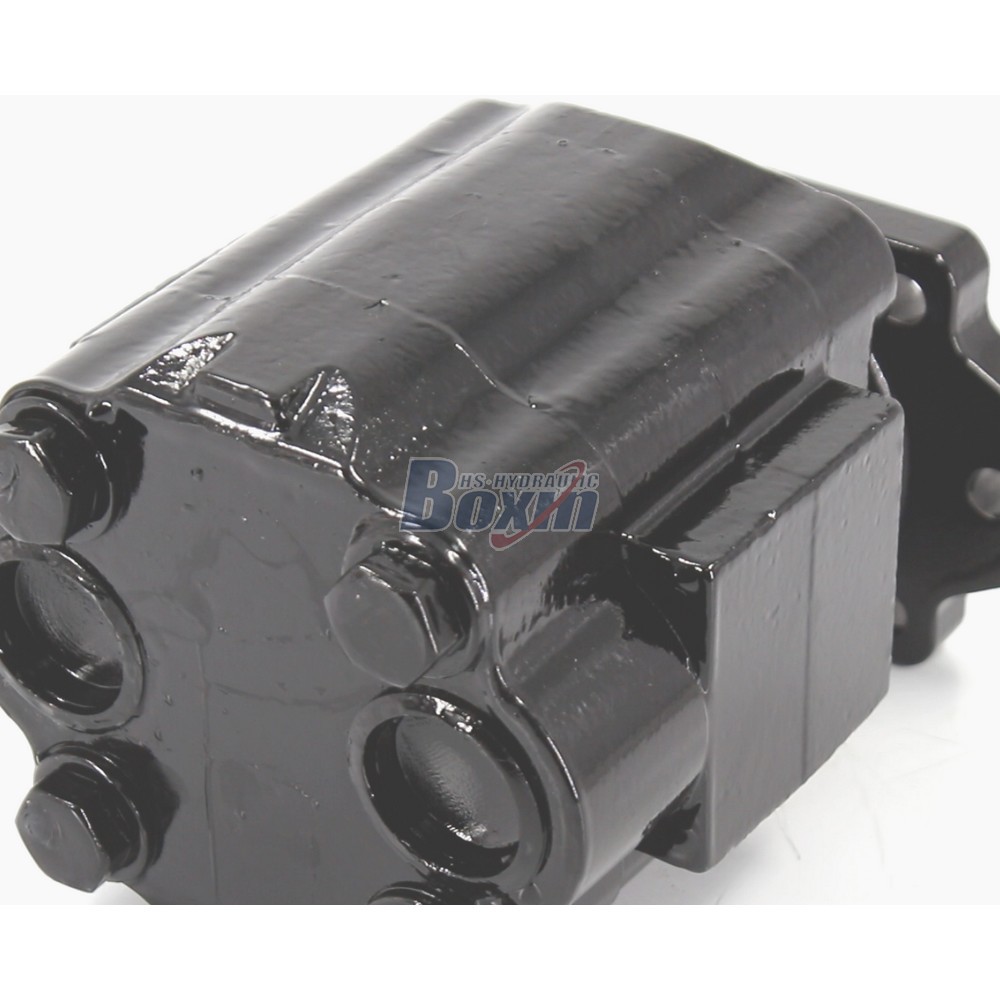Seeking Global Distributors and Wholesalers for P51A646TEYR25-25 Gear Pump detail image
