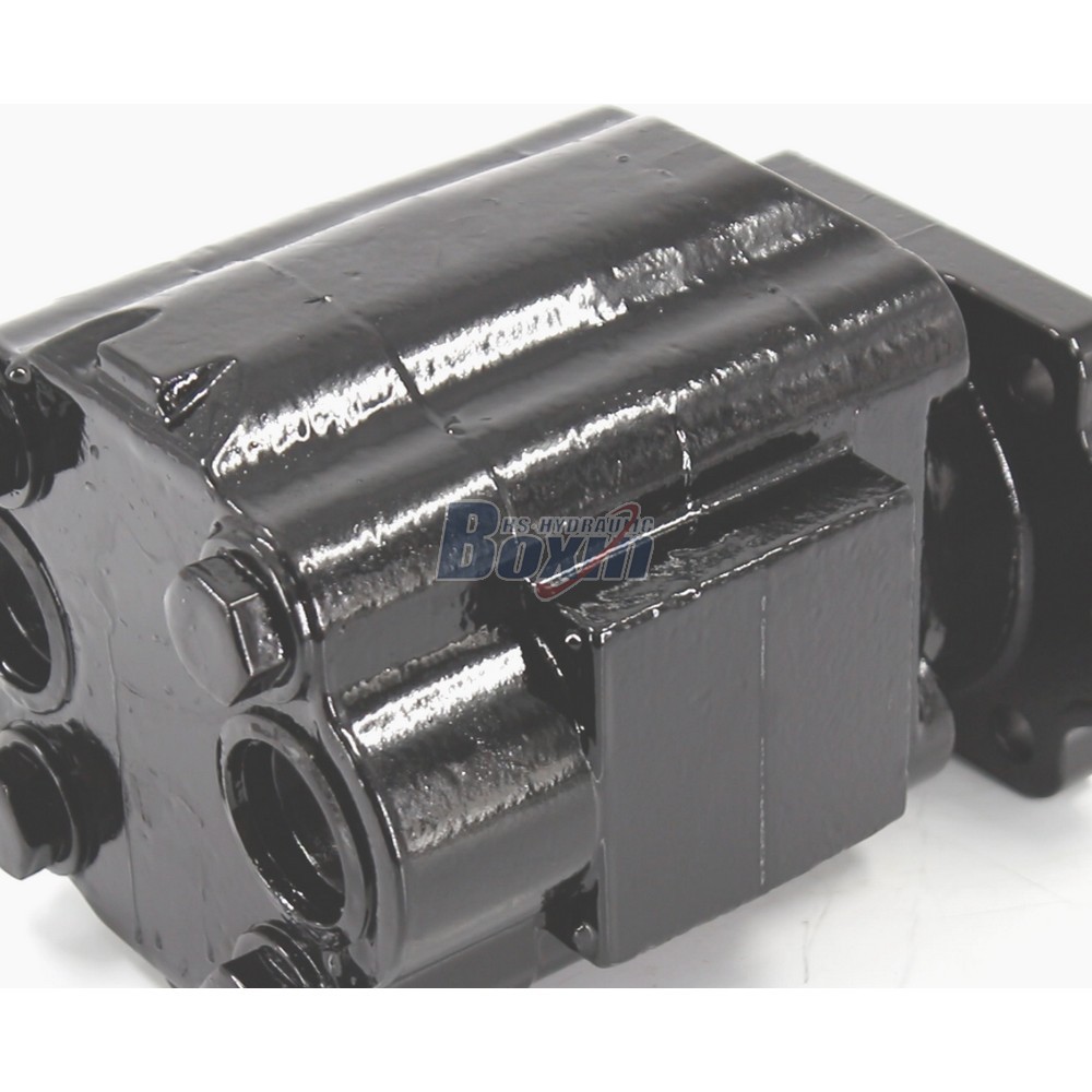 OEM/ODM Services for P51A646TEYR25-25 Custom Hydraulic Gear Pump detail image