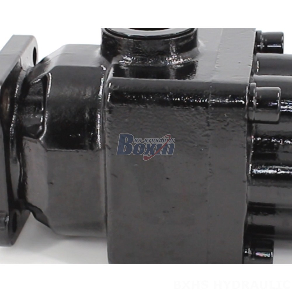 P6-40 40cc/rev Hydraulic Pump: Reliable Performance, Global Distribution detail image