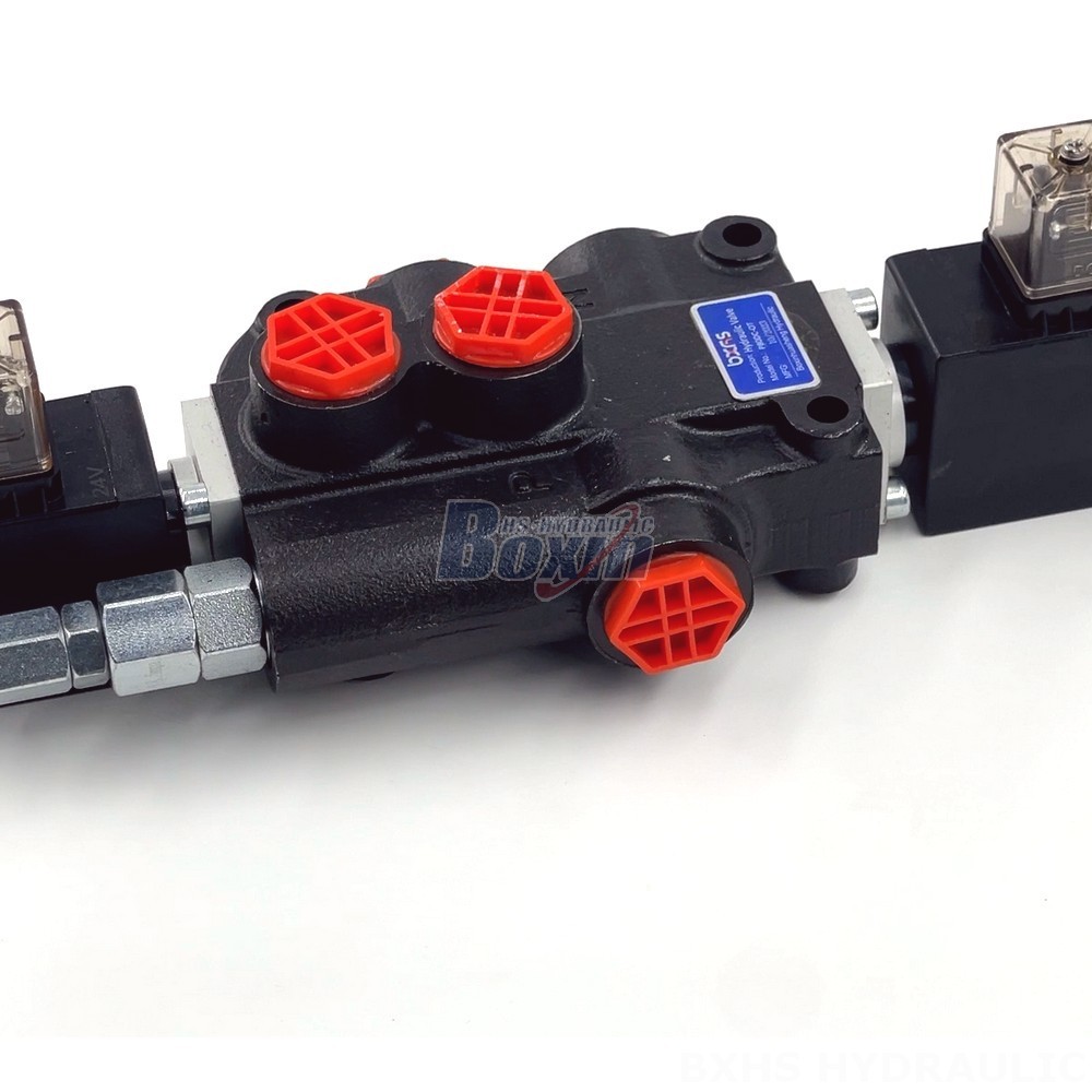 Looking for Hydraulic Valve OEM/ODM? P80 Series Available for Customization detail image