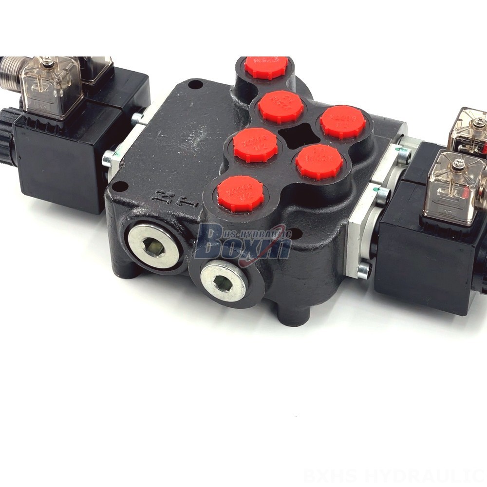 P80 Solenoid 2 Spool Monoblock Directional Valve | Manufacturer & Global Supplier detail image
