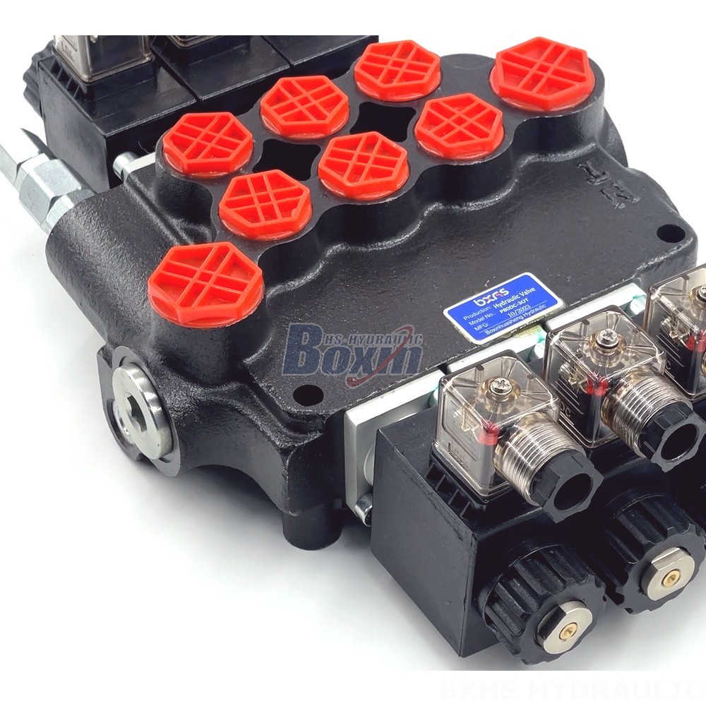 Pneumatic Directional Control Valve Your Design, Our Expertise: OEM Manufacturing of P80 Valves detail image