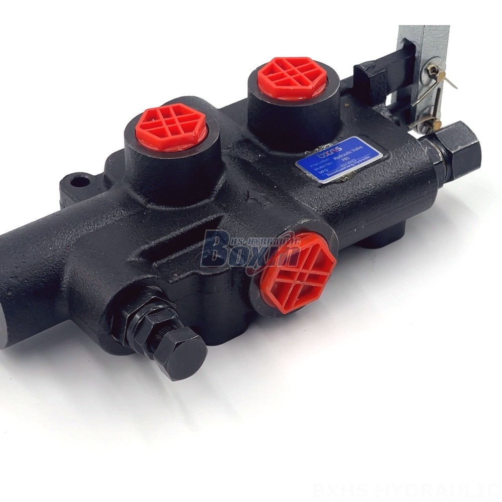Oil Control Counterbalance Valve Factory Direct P81 Valves: Competitive Pricing & Flexible MOQs detail image