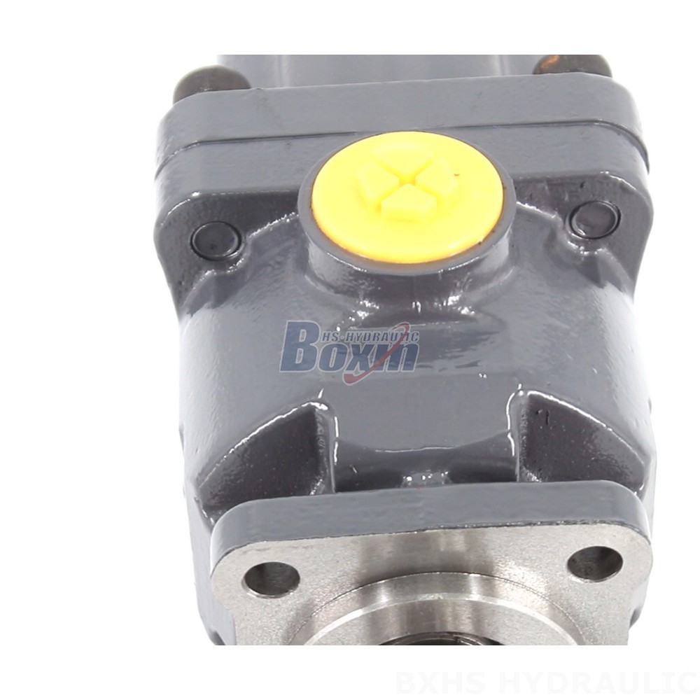 Industrial P9-80-H Piston Pump - 20 MPa (2900 psi) Performance Solutions detail image