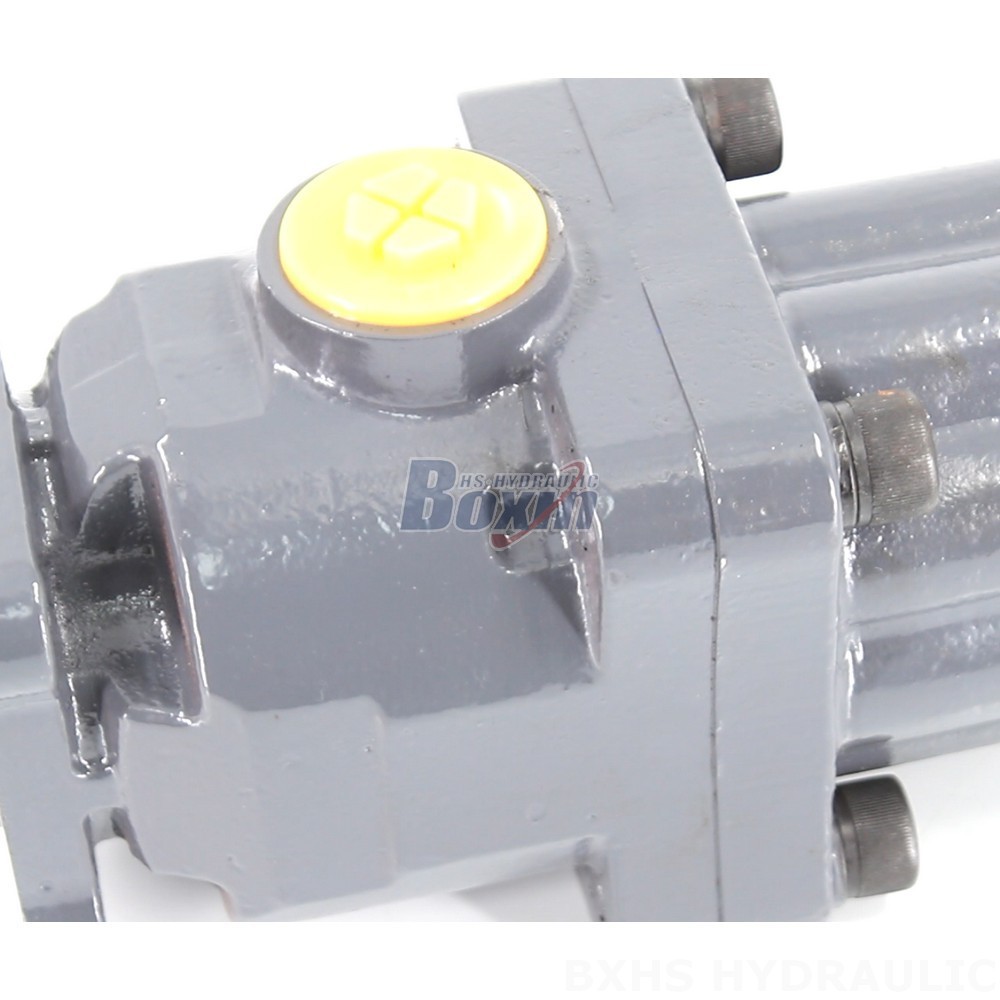 Global Manufacturer of P9-80-H 20 MPa Hydraulic Piston Pumps detail image