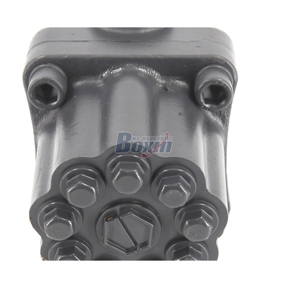 OEM/ODM Custom P9-80SK 80 cc/rev Hydraulic Piston Pump with Private Labeling detail image