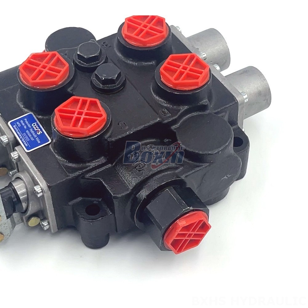 Pressure Compensated Flow Control Valve Customize Hydraulic Solutions: OEM/ODM for RD5200 Valve detail image