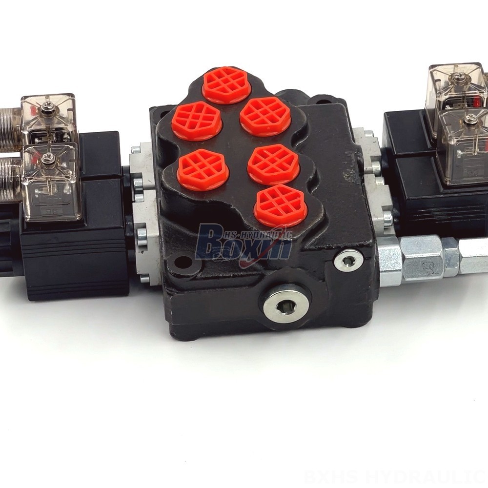 Hydraulic Valve Monoblock Directional Valve with 2 Spools - SD5 Series | Wholesale & OEM detail image