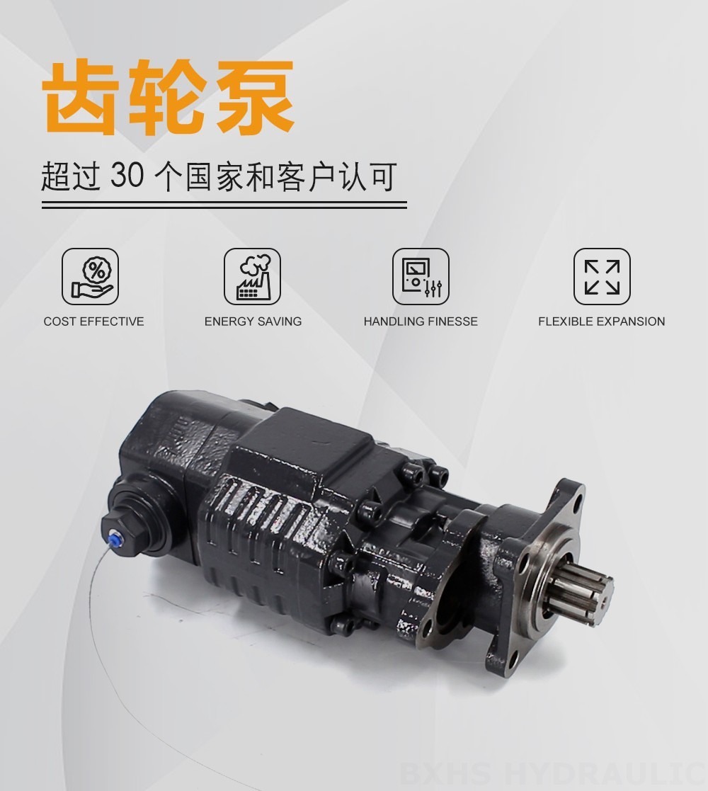BF110A-ZF1 110 cc/rev 20 MPa (2900 psi) 液压齿轮泵