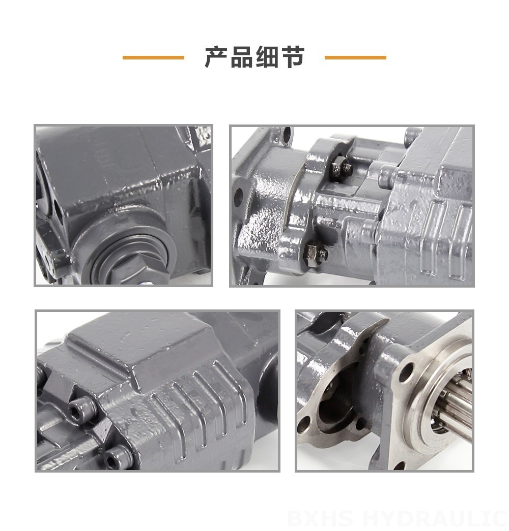 BF110A-ZF1 110 cc/rev 20 MPa (2900 psi) 液压齿轮泵