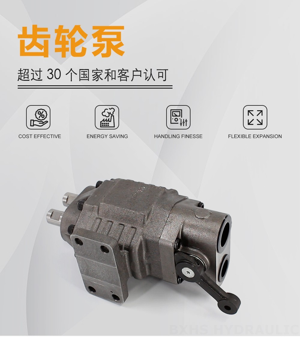 BF110M 110 cc/rev 20 MPa (2900 psi) 液压齿轮泵