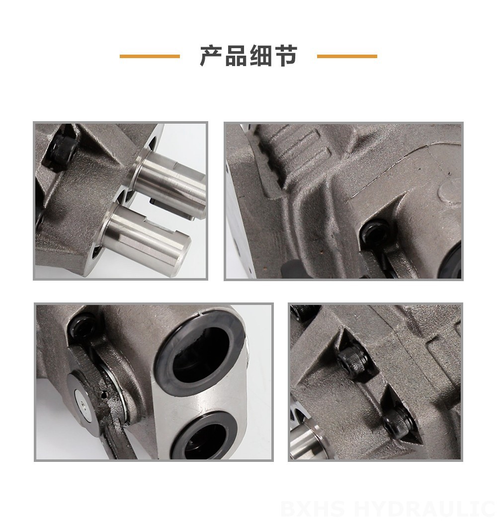 BF110M 110 cc/rev 20 MPa (2900 psi) 液压齿轮泵