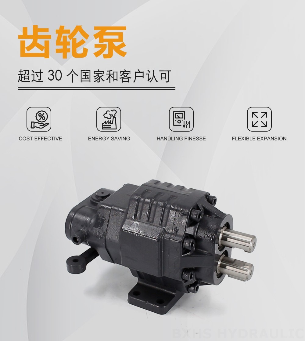 BF62M 63 cc/rev 20 MPa (2900 psi) 液压齿轮泵