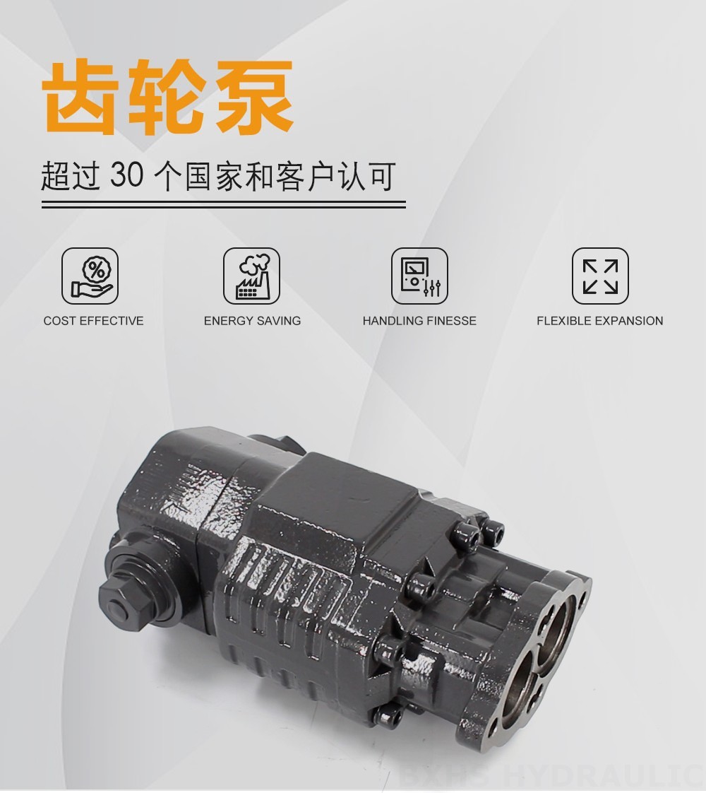 BF82A 80 cc/rev 20 MPa (2900 psi) 液压齿轮泵