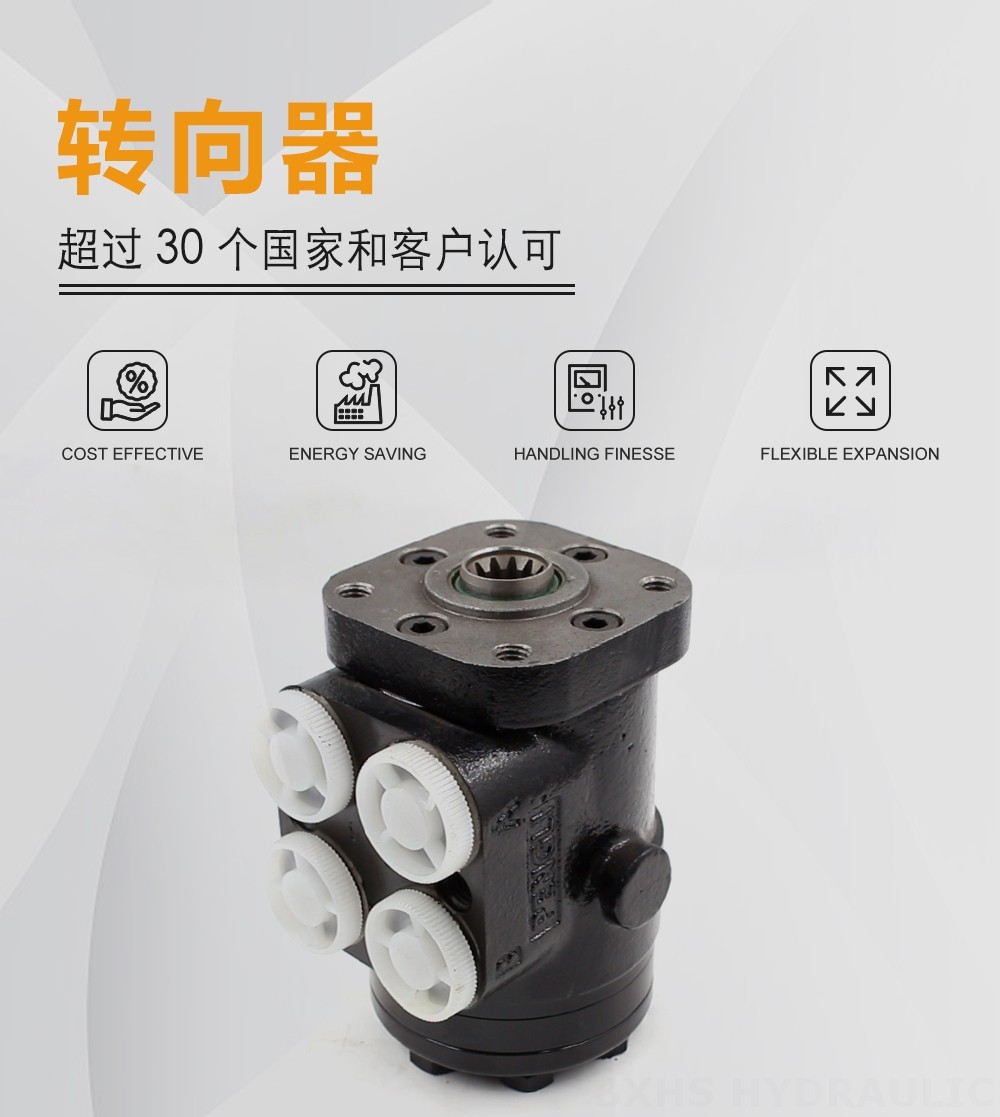 BZZ1-E100B 100 ml/r 7.5 L/min 转向器