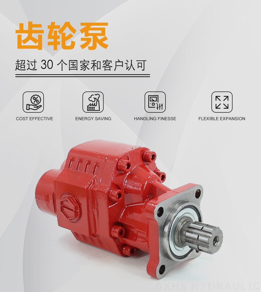 CBHST1-ISO-63-X 63 cc/rev 液压齿轮泵