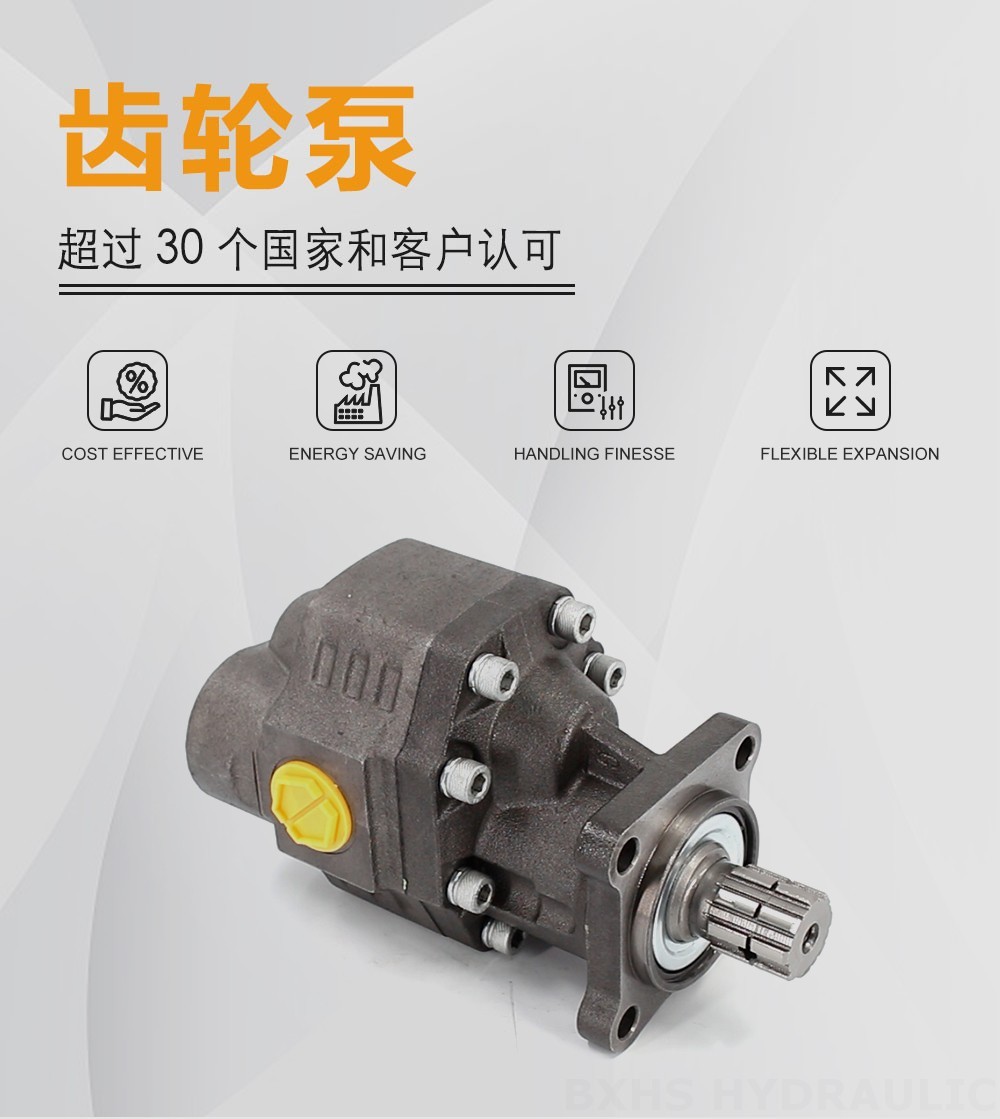 CBHW-ISO-100-Y 100 cc/rev 22 MPa (3190 psi) 液压齿轮泵