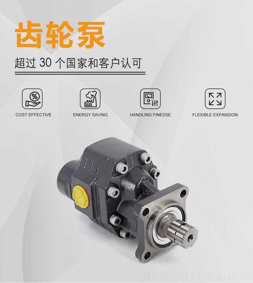 CBHW-ISO-80-H 80 cc/rev 22 MPa (3190 psi) 液压齿轮泵