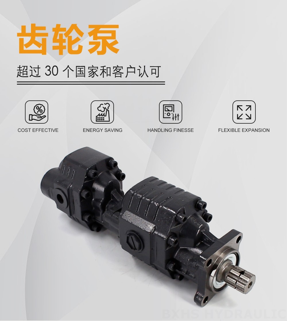 CBSL-2063-2040 63 cc/rev 20 MPa (2900 psi) 液压齿轮泵