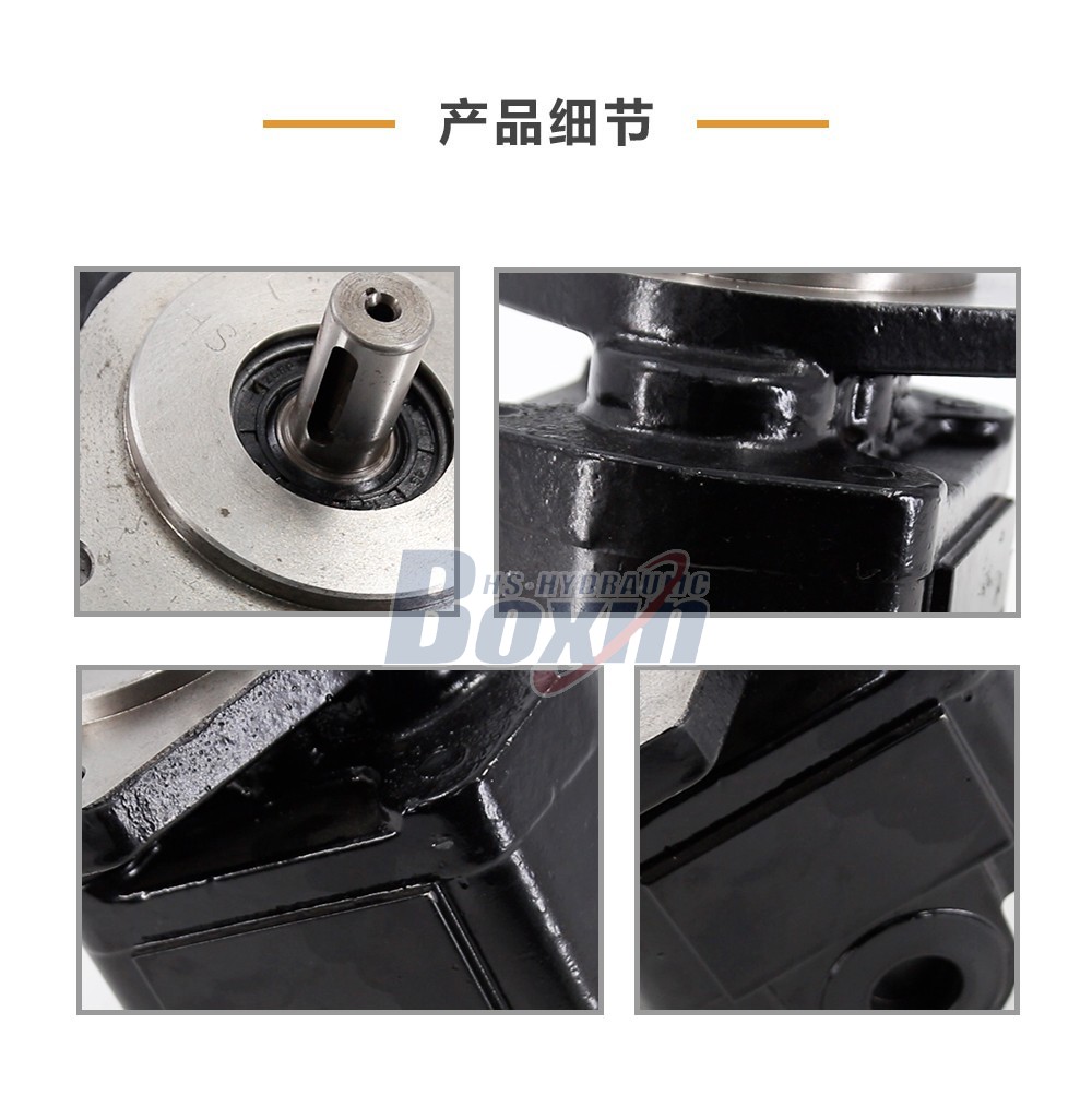 CBHS-FC25 25 毫升/转 20 MPa (2900 psi) 液压齿轮泵