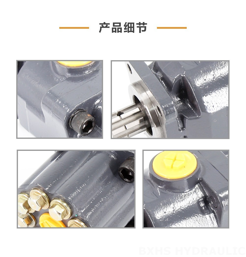 P9-80-H 80 cc/rev 20 MPa (2900 psi) 液压柱塞泵