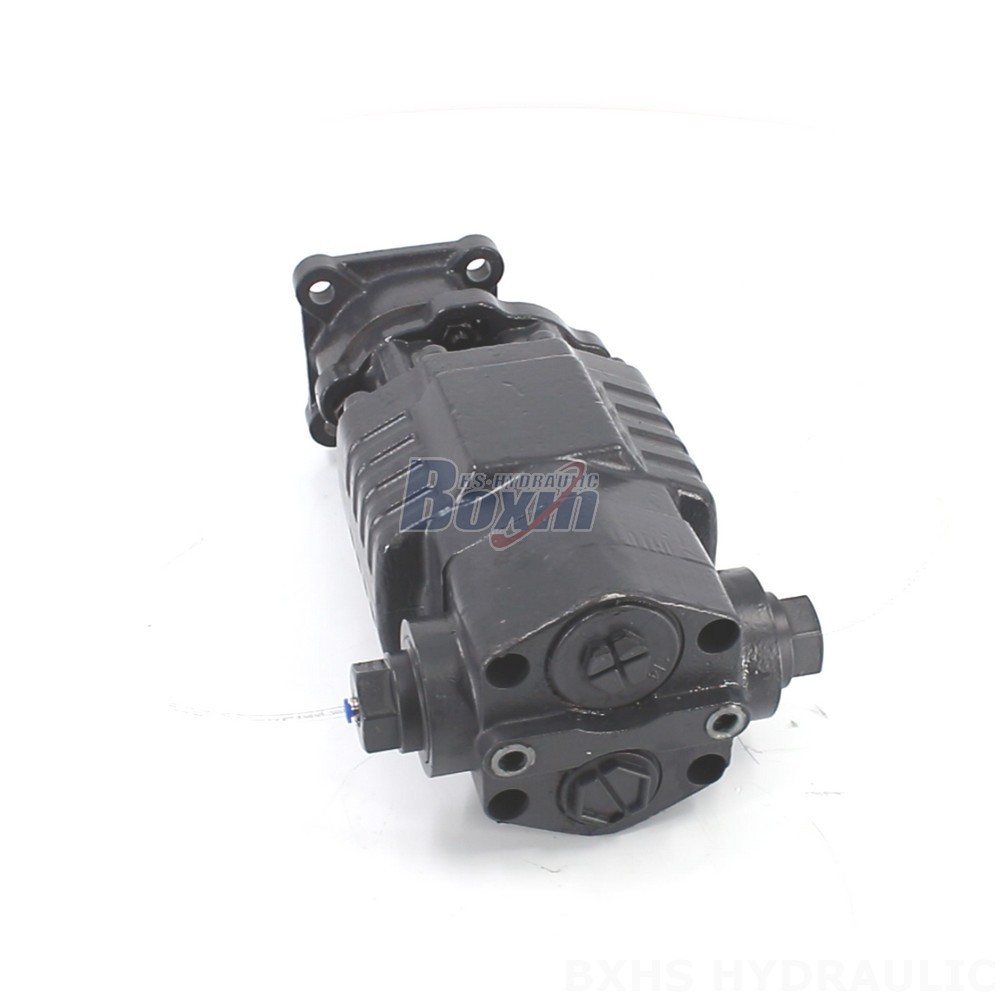 BF110A-ZF1 Hydraulic Gear Pump: OEM, ODM, Private Label & Custom Manufacturing Services main image