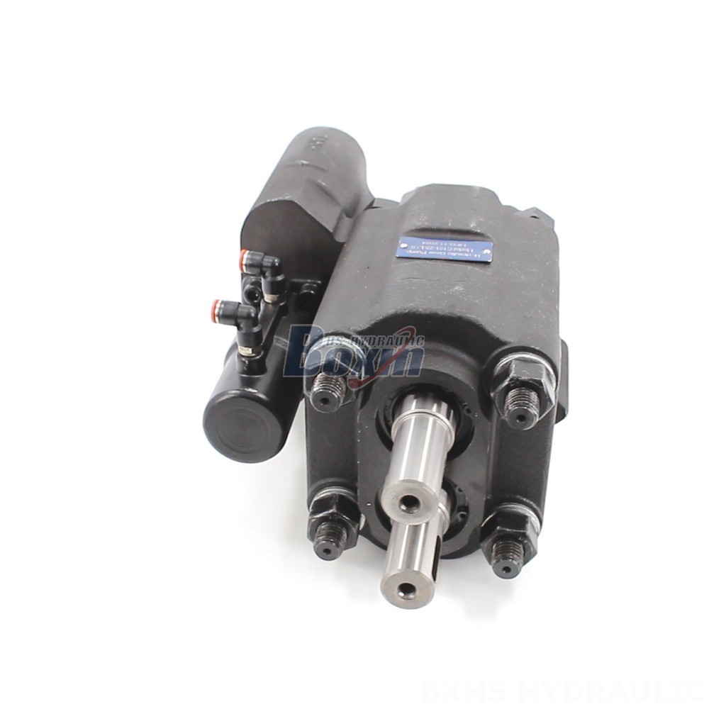 C101-25-LAS Hydraulic Gear Pump: OEM & ODM Services Available - Customization Options main image
