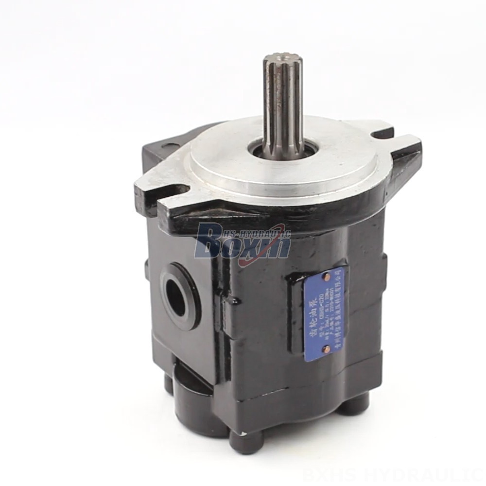 Hydraulic Pump Part 20 cc/rev Hydraulic Gear Pump | Manufacturer & Global Supplier cover photo
